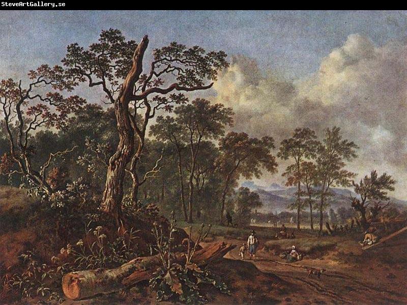 Jan Wijnants Road beside the Forest